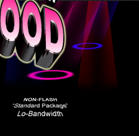 Non Flash Site